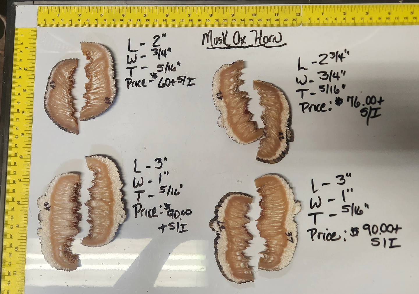489458918_1198026512322756_7783831193169967227_n (1) Musk Ox Horn Scales