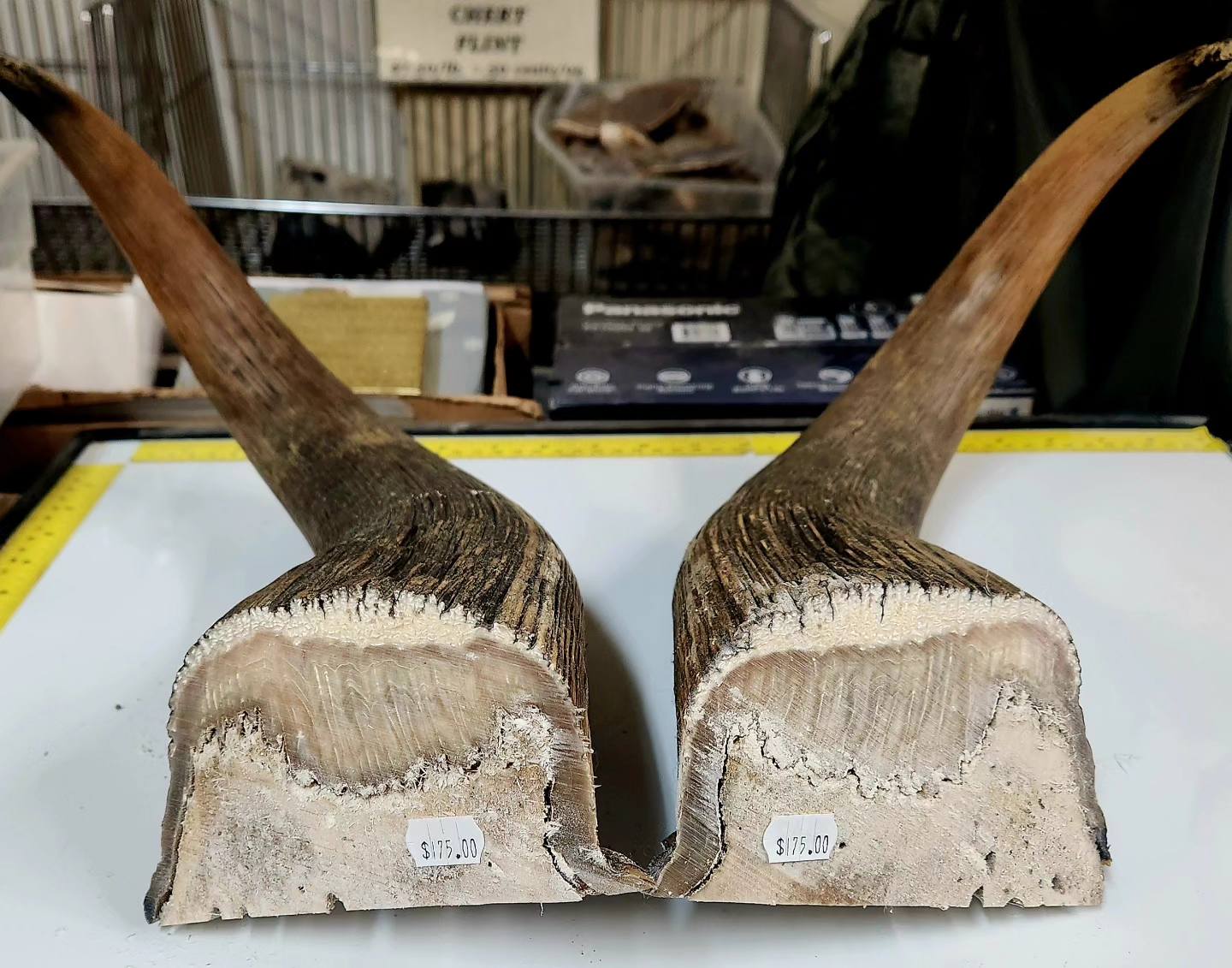 489827828_1199463575512383_2341359324336968472_n