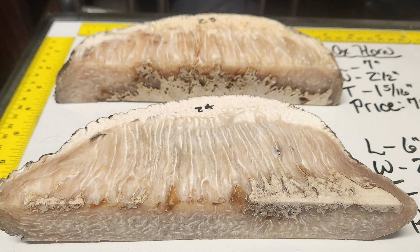 489866389_1198026195656121_2803065767914518619_n