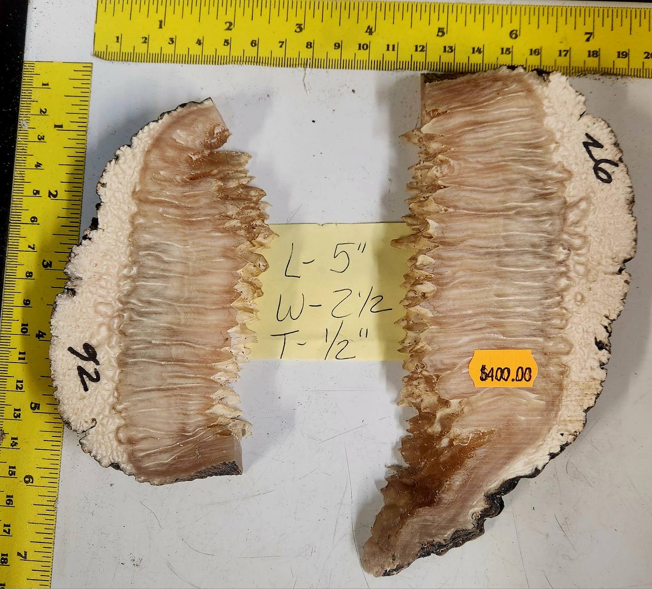 552841439_1341058148019591_291507229590313322_n