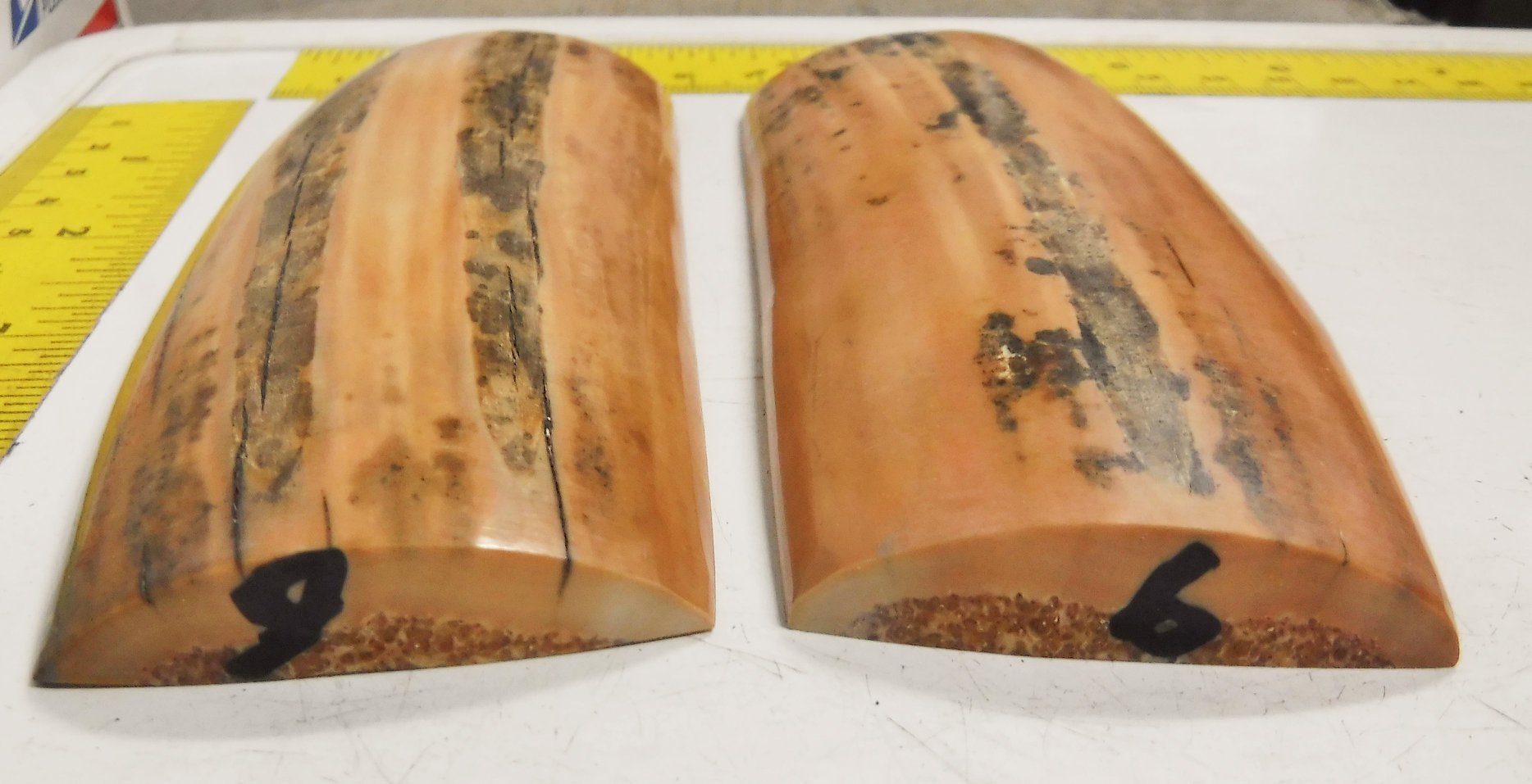 46197845_1921675437910337_487298034397347840_n